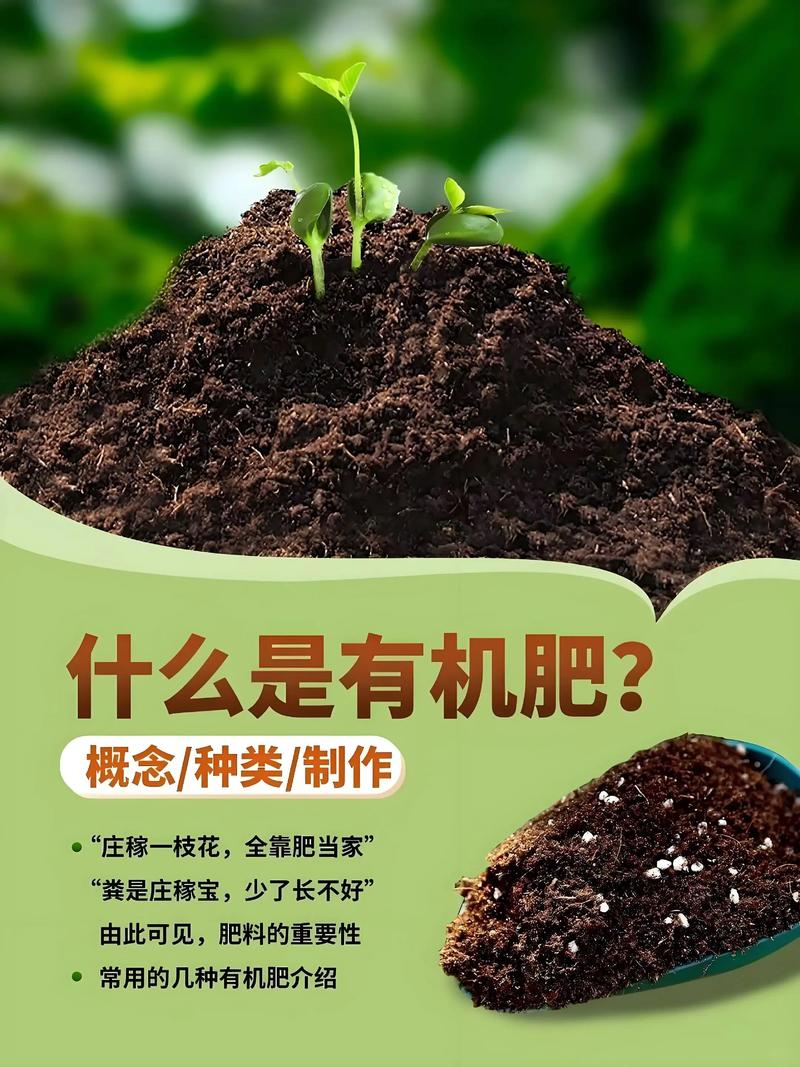 云南化肥